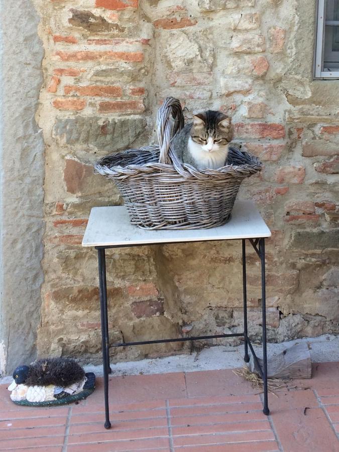 Agriturismo Corzano Barberino di Mugello Kültér fotó