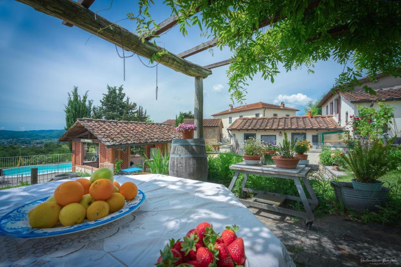 Agriturismo Corzano Barberino di Mugello Kültér fotó
